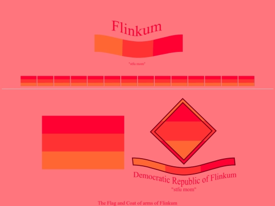 flag screenshot