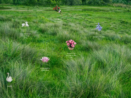 archive/poetry screenshot