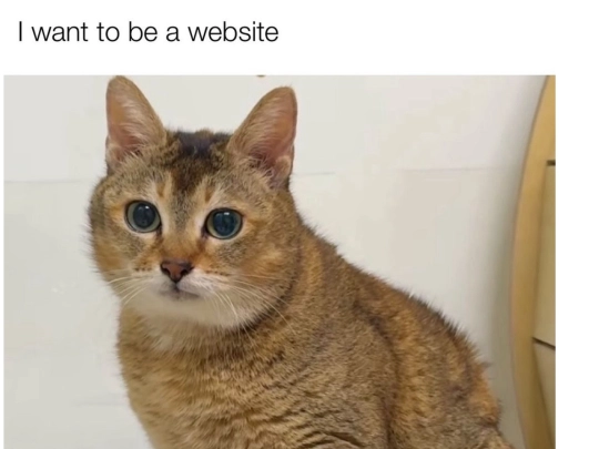 iwanttobeawebsite screenshot