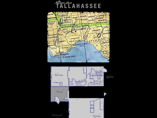 tallahasseeremade/tallahassee screenshot