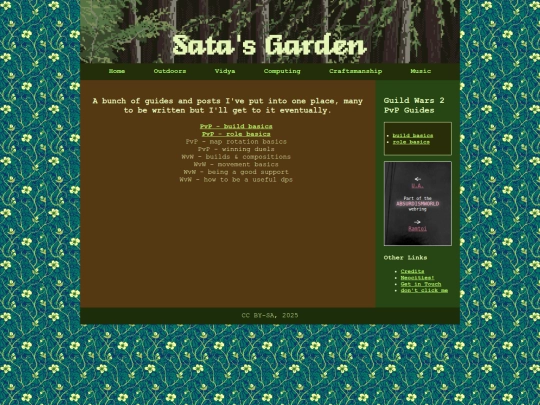 vidya/guild_wars_2 screenshot