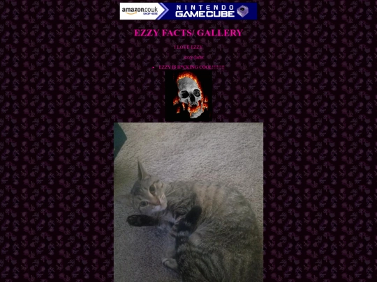 ezzy screenshot