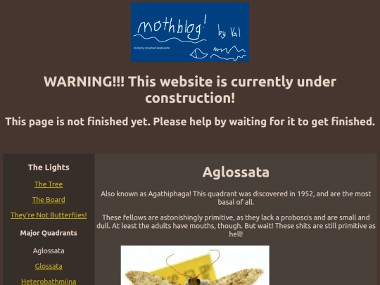 aglossata screenshot