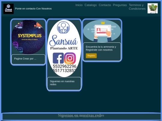 contacto screenshot