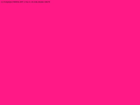 C1743Q4Q51T899YA screenshot