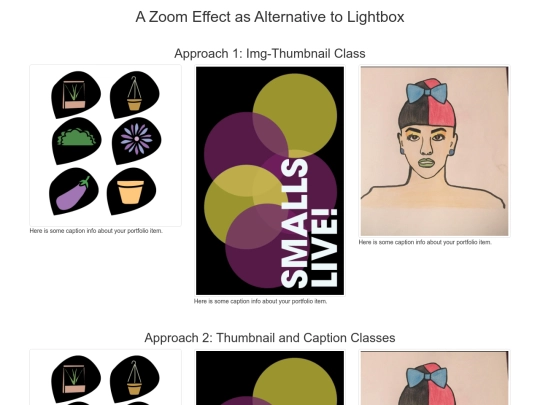zoom screenshot