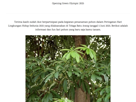 pulai screenshot