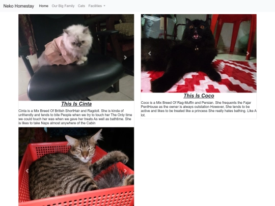 catsWhoBoarded screenshot