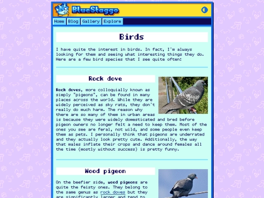 explore/birds screenshot