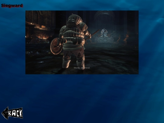 siegward screenshot