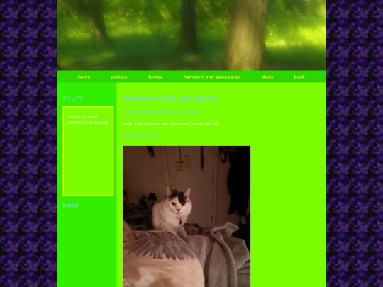rooms/pet room screenshot