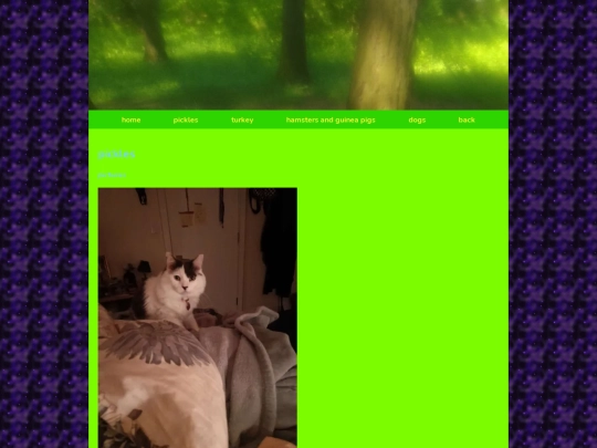 rooms/pet room/picklespage screenshot