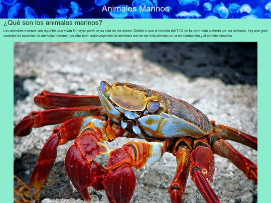 PaginaAnimales screenshot