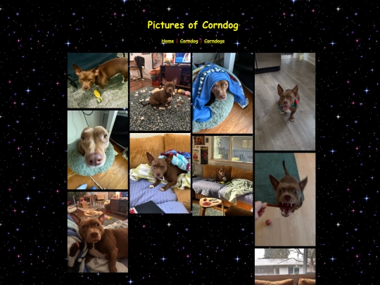 corndog screenshot