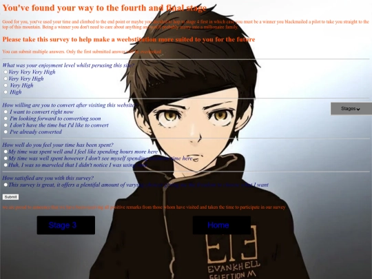 stage4 screenshot