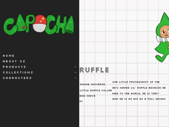 Final/ruff screenshot