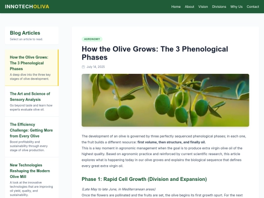 blog-page screenshot