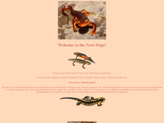 newt screenshot