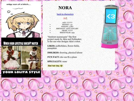 nora screenshot