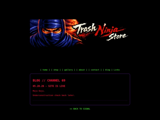 blog screenshot