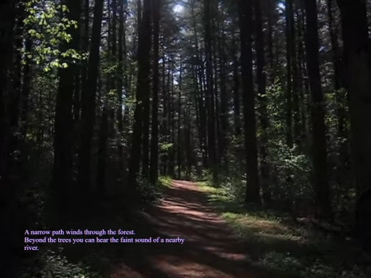 thurndaur/forest screenshot