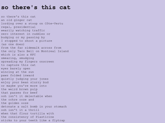 poetry/sotheresthiscat screenshot