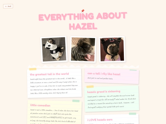 hazel screenshot