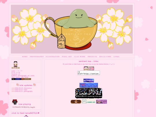 links screenshot