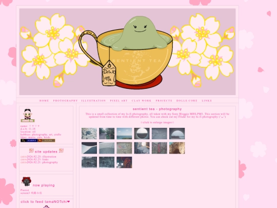 photography screenshot