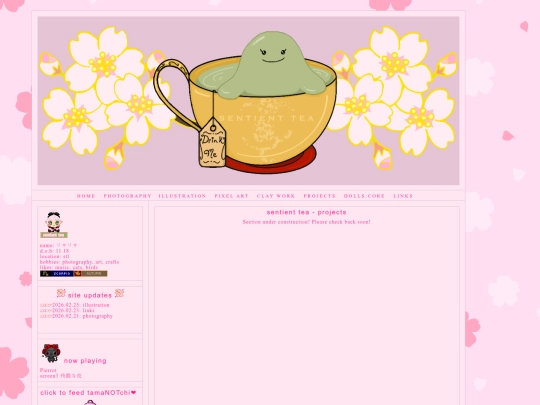 projects screenshot