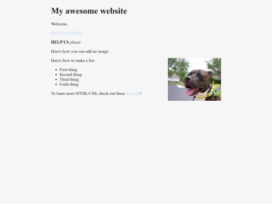index screenshot