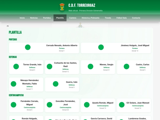 plantilla screenshot