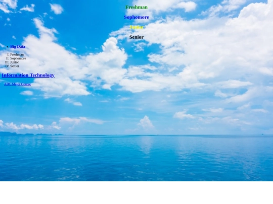 FinalReport screenshot