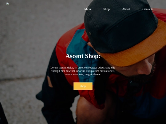 online-shop screenshot