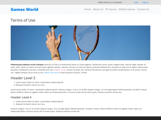 terms screenshot