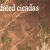 sedated cicadas avatar