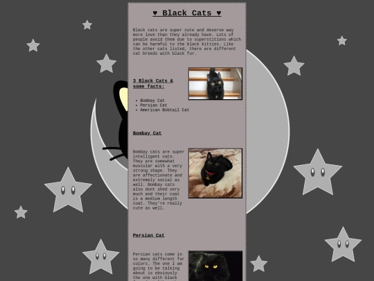 Website_1/blackcat screenshot