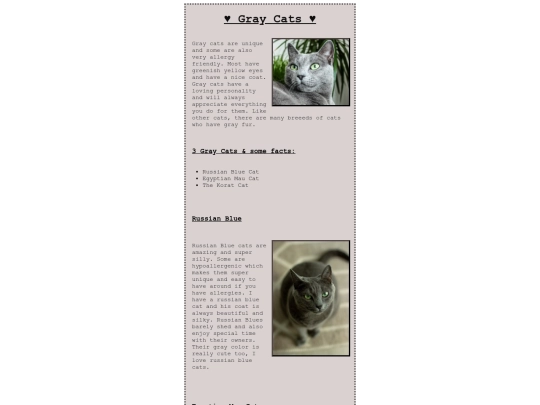 Website_1/graycat screenshot