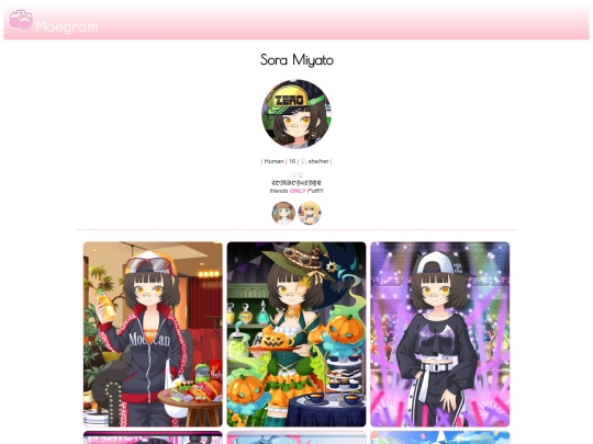 PAGES/SORA/profile screenshot