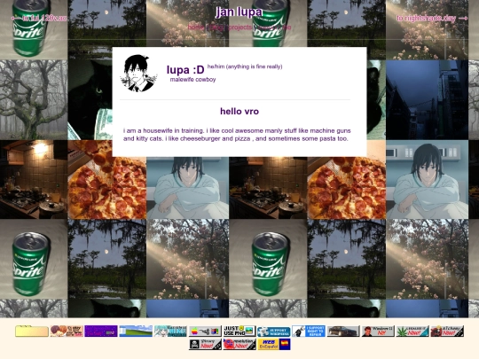 lupa screenshot