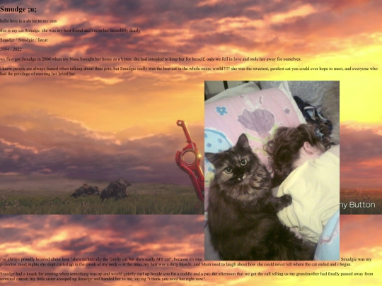 cats screenshot