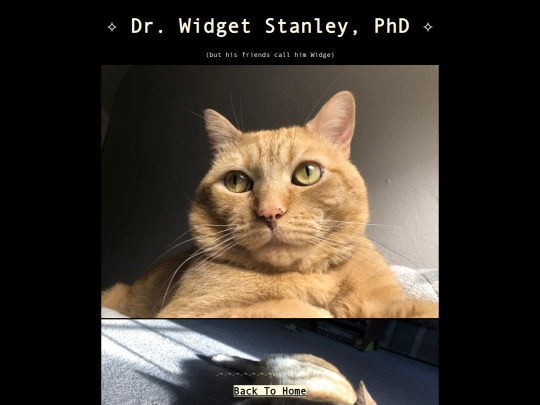cat screenshot