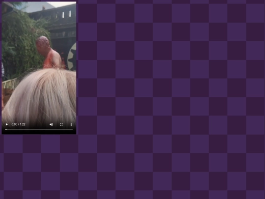 bhlivevids/bhvid1 screenshot