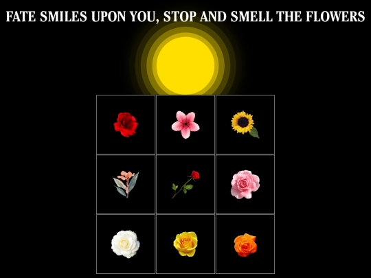 cards/card1 screenshot