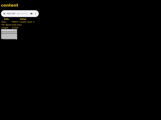 ss/ss screenshot