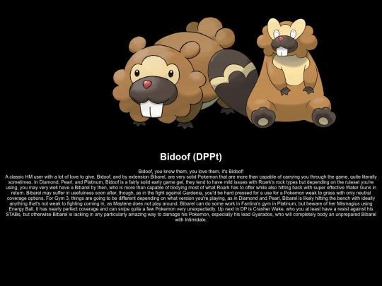 writeupsDPPt/Bidoof screenshot
