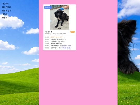 gallery screenshot
