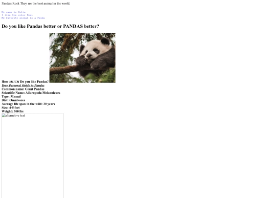 scratch screenshot