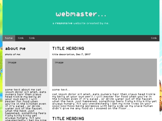 webmaster screenshot