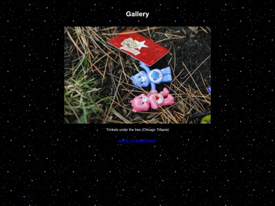 gallery screenshot